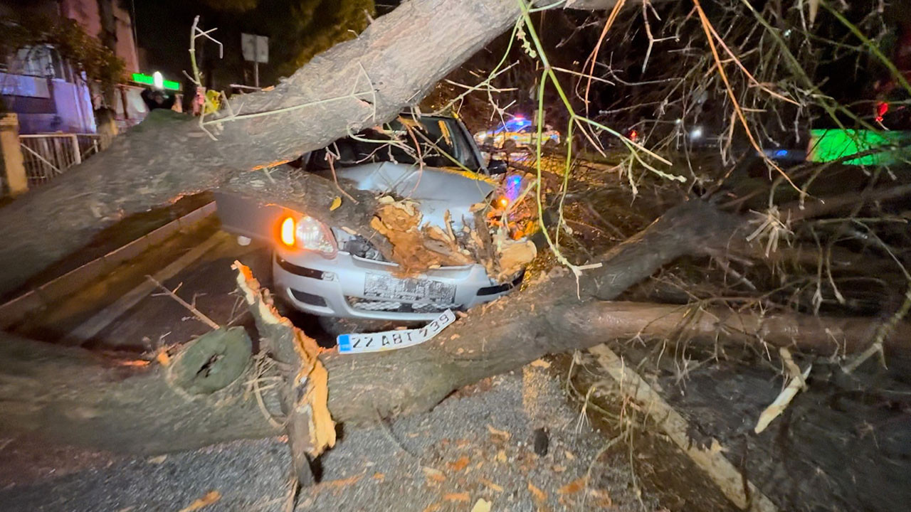 Seyir halindeki otomobilin üzerine ağaç devrildi