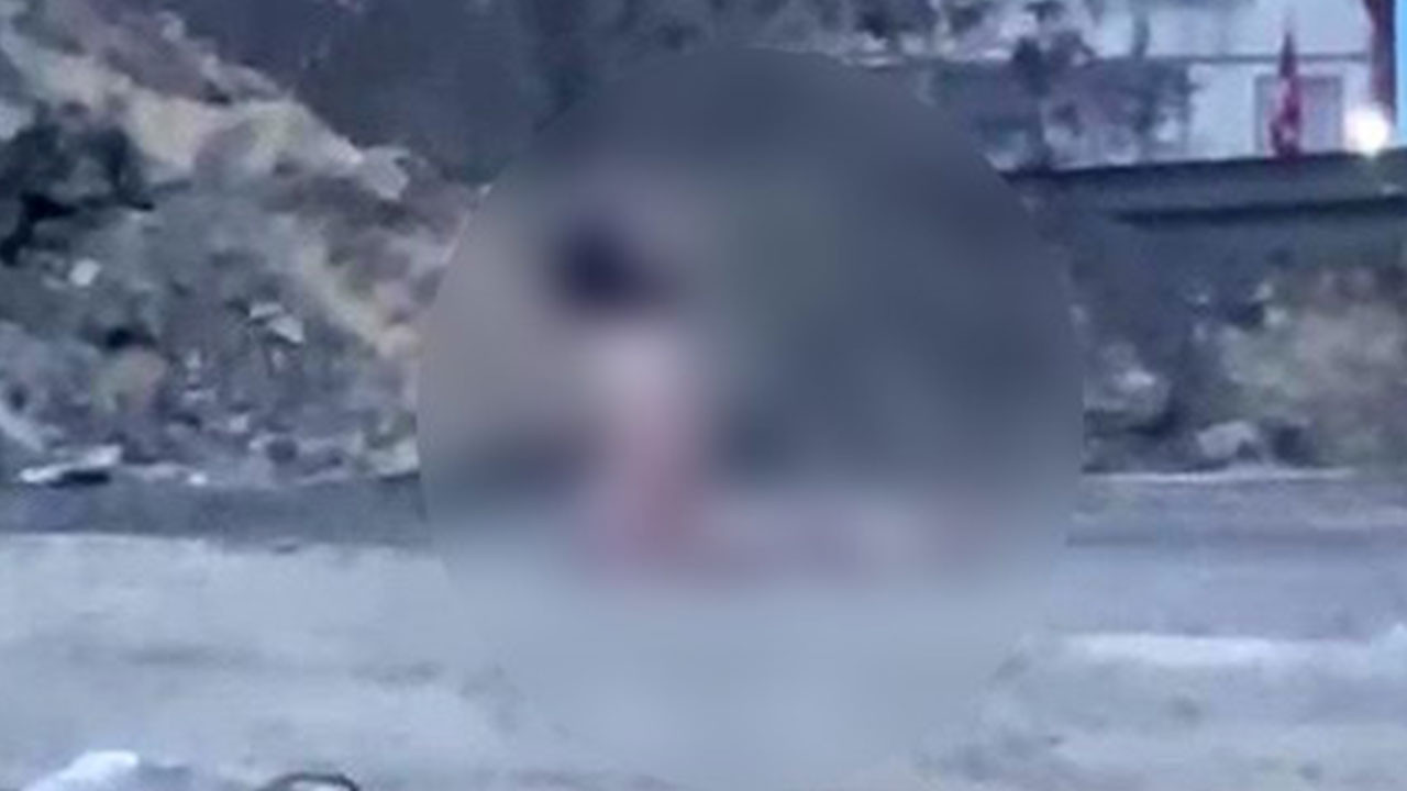 Köprü altında akıllara durgunluk veren görüntüler