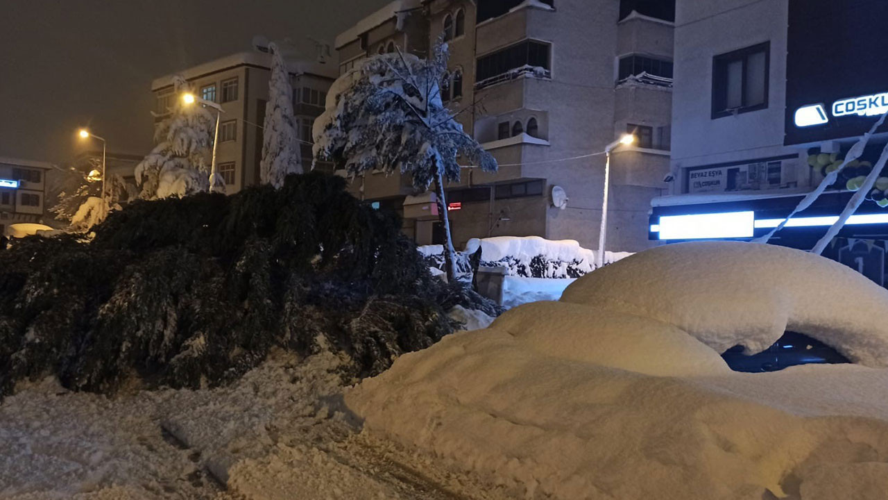 Çam ağacı park halindeki iki aracın üzerine devrildi