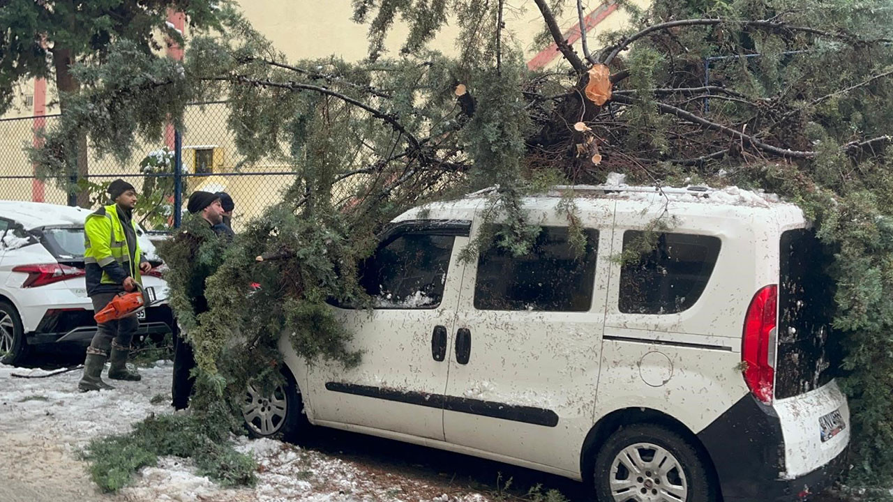 Kökünden sökülen ağaç park halindeki aracın üzerine devrildi