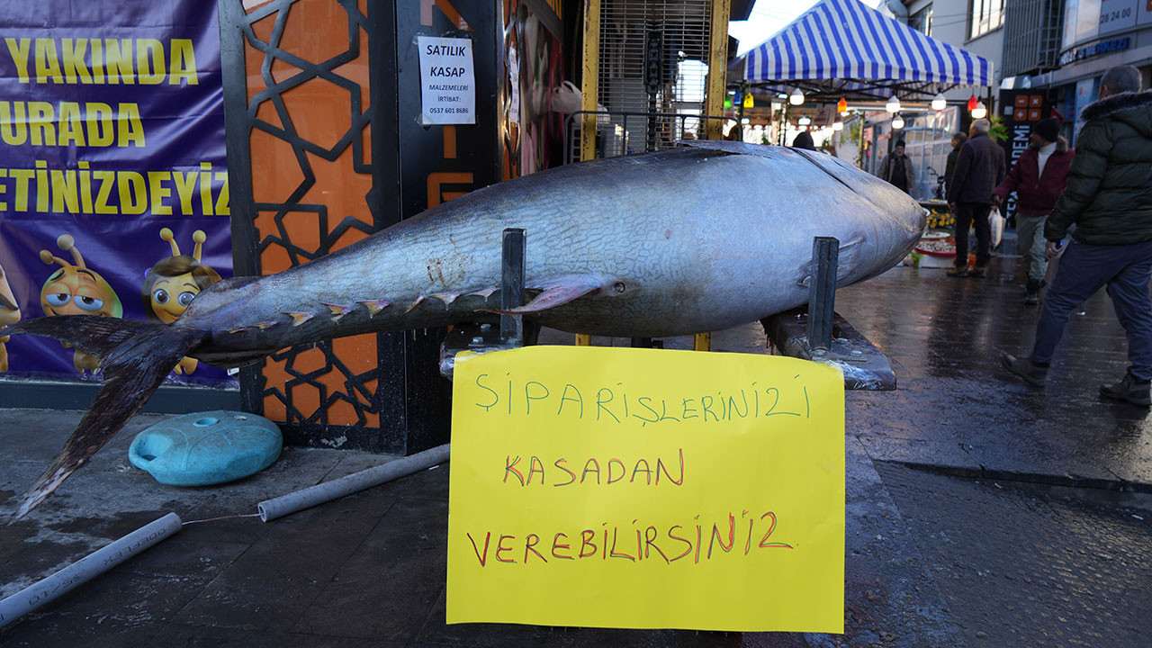 Dev Orkinos Erzincan’da olay oldu! Tezgâh önünde fotoğraf yarışı