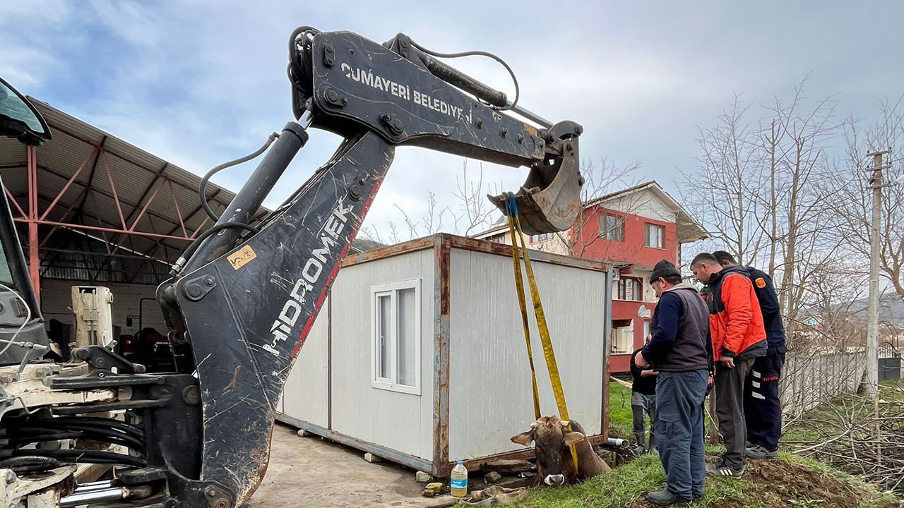 Kuyuya düşen ineği itfaiye kurtardı