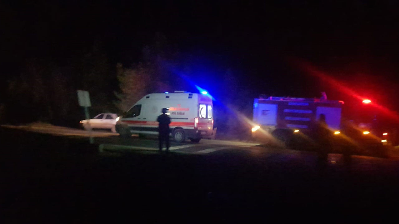 Orman yangınında hasar gören ağaçları taşıyan tır devrildi