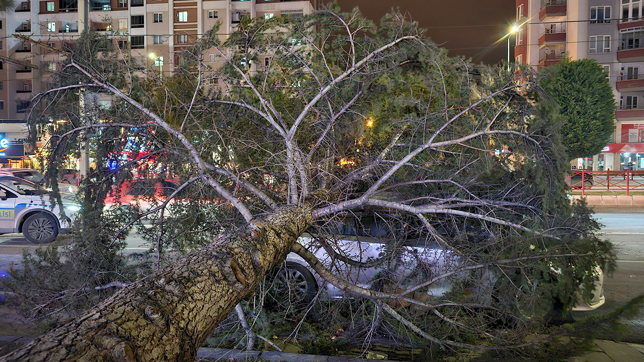 Kayseri'de kuvvetli rüzgar: Ağaç otomobilin üzerine devrildi