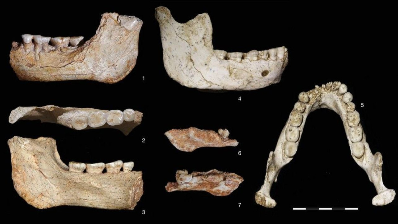 Fas’ta 773 bin yıllık insan fosilleri keşfedildi