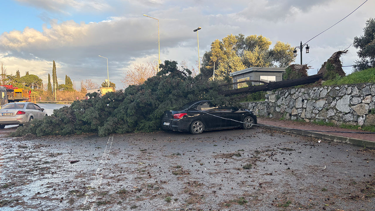 Gebze'de fırtınada iki otomobilin üzerine ağaç devrildi