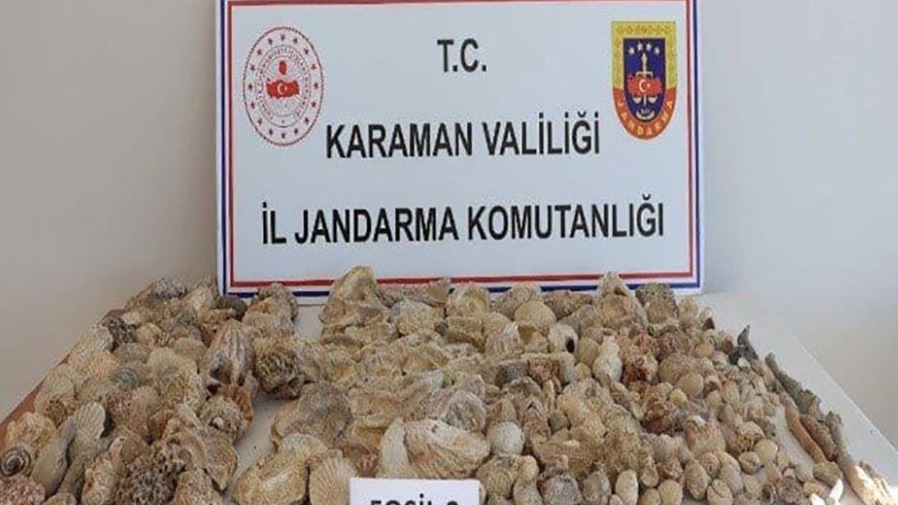 Karaman'da kaçak sigara ile 420 adet fosil ele geçirildi