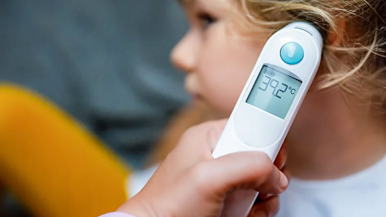 Avrupa'yı alarma geçiren hastalık Türkiye’de! Çok hızlı yayılıyor