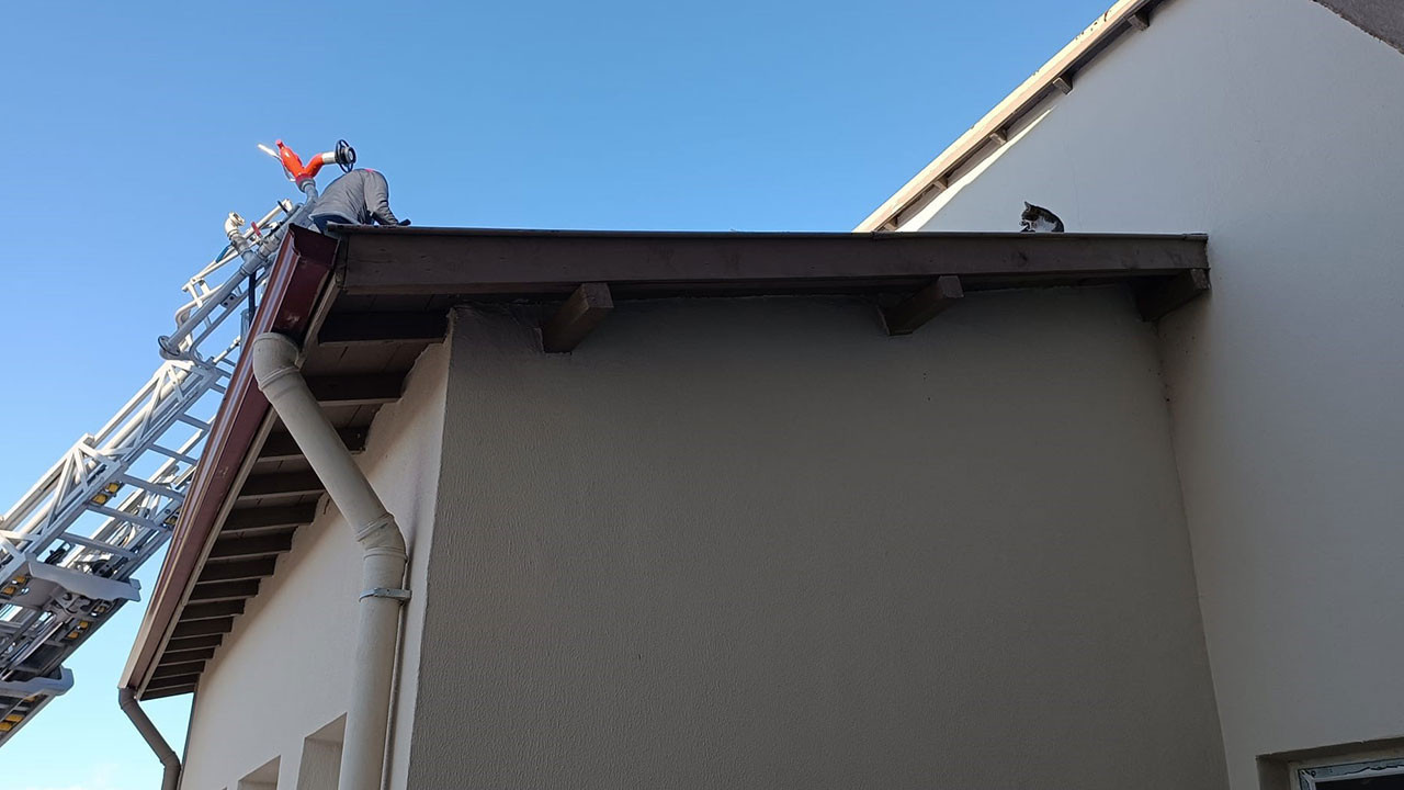 Binanın çatısında mahsur kalan kediyi itfaiye ekibi kurtardı