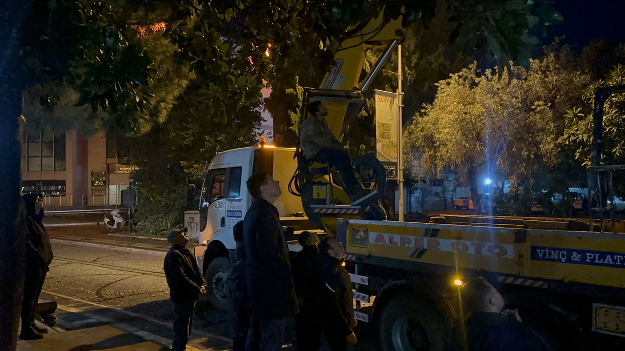 Fırtınada zarar gören minarede çalışma başlatıldı