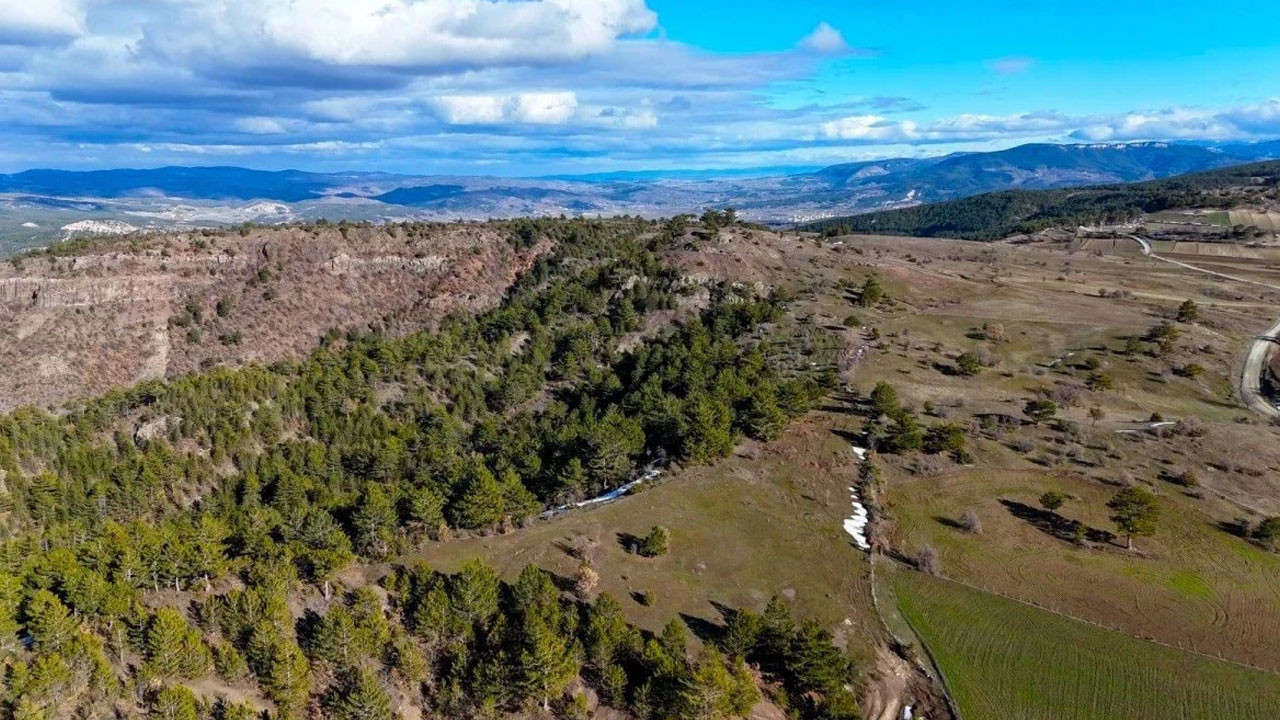 Kastamonu yaylalarında bahar uyanışı