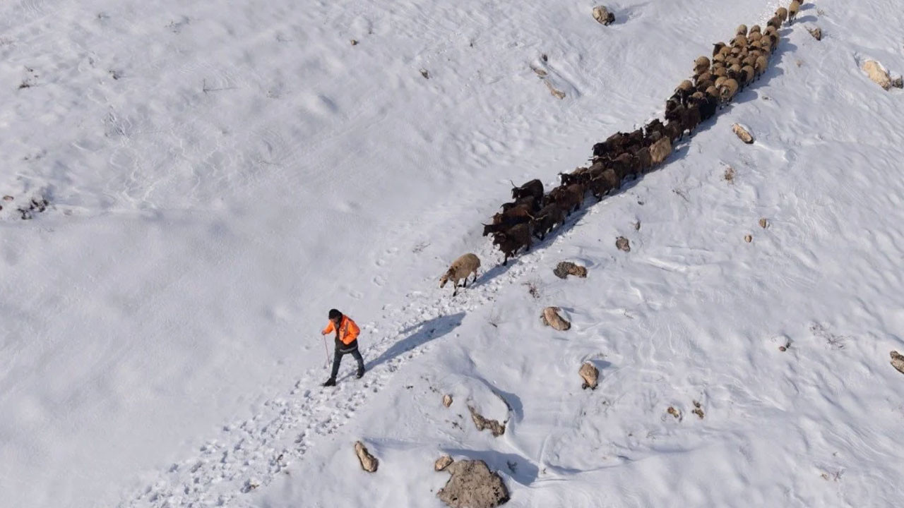 Mardin’de besicilerin karla mücadelesi