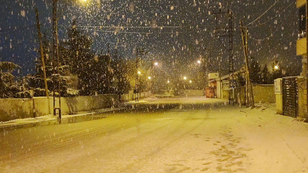 Van'da lapa lapa kar yağdı