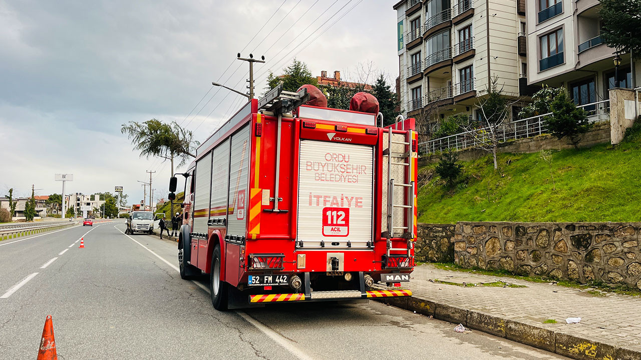 Ordu'da çam ağacı yüksek gerilim hattına devrildi