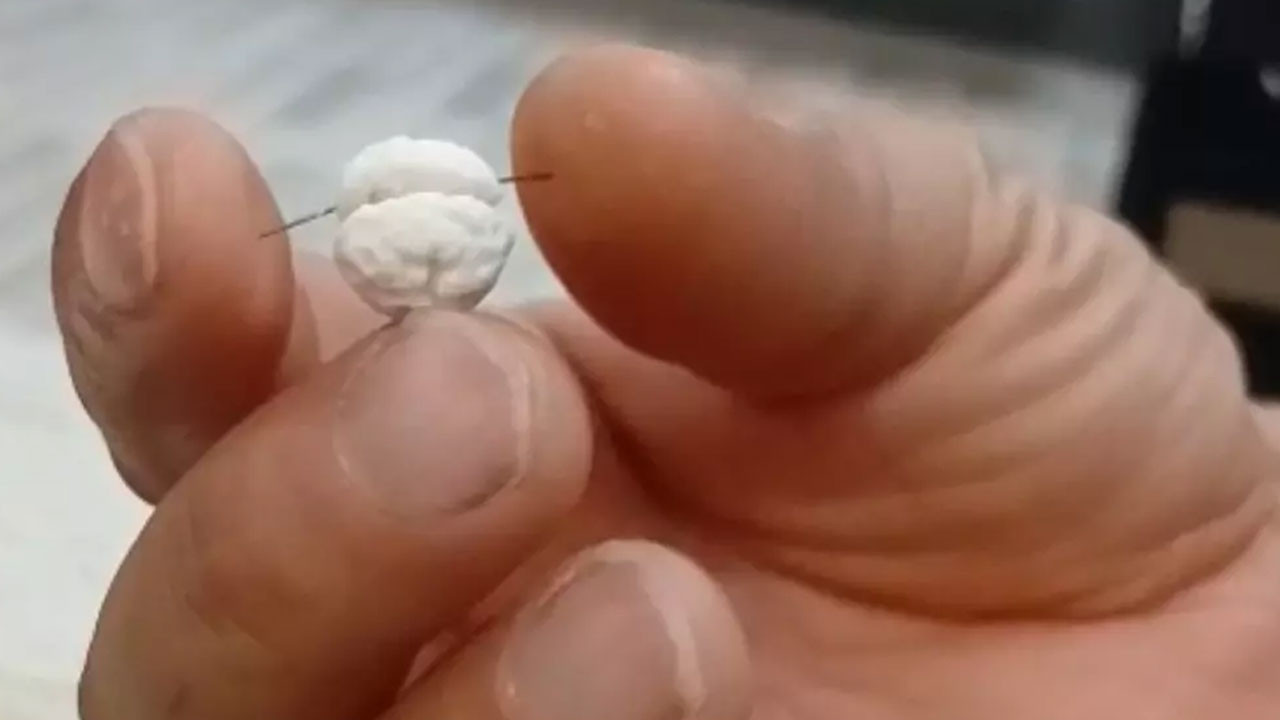 Yüksekova'da bir aileyi hayrete düşüren olay: Dikkati faciayı önledi!