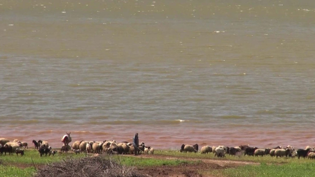 Reyhanlı Barajı'nda beş yıl sonra bir ilk!