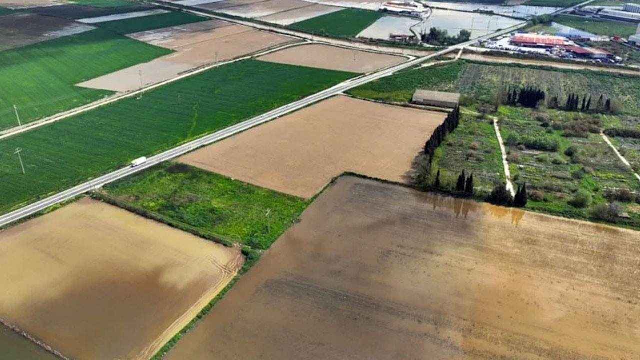 İzmir'de sağanak: Tarım arazileri sular altında