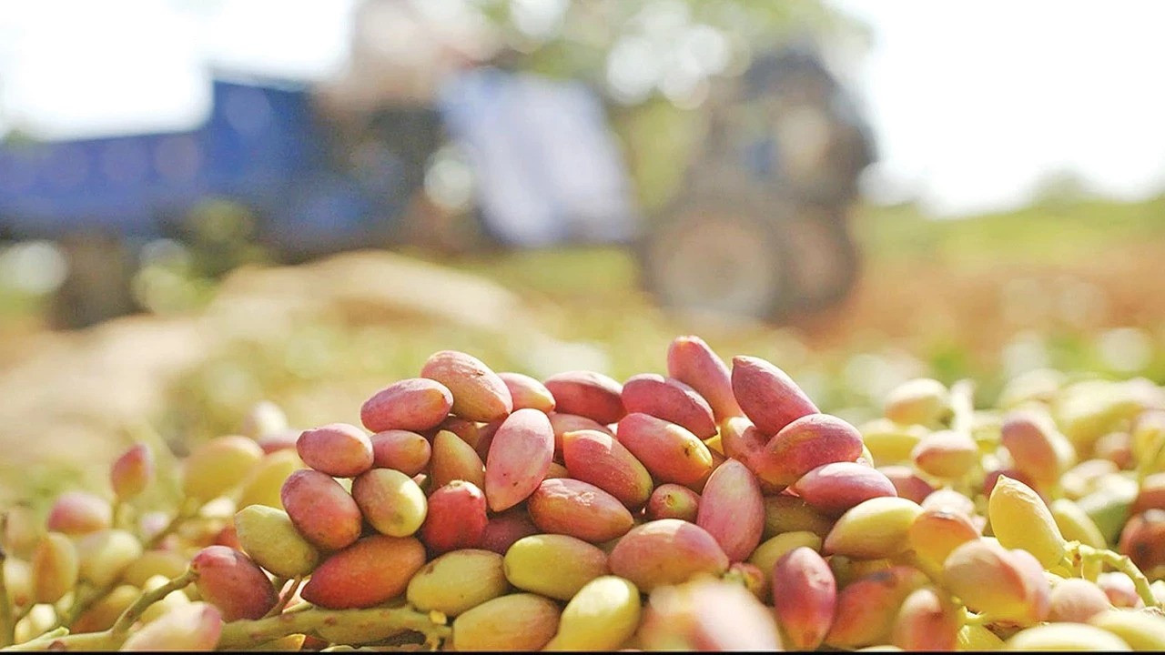 Son 8 yılın zirvesinde o ürün var: Ne petrol ne dolar ne altın!