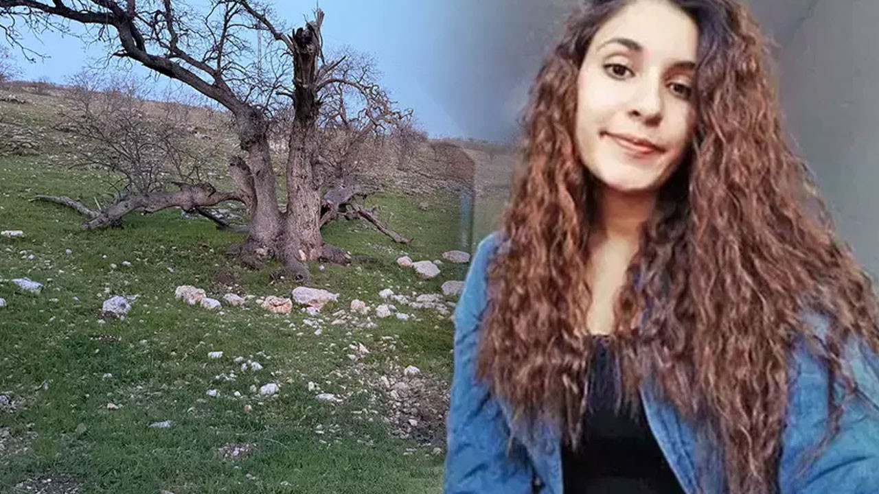 Mezar yeri bulundu! Gülistan Doku aramasında 'terör örgütü' ihtimali