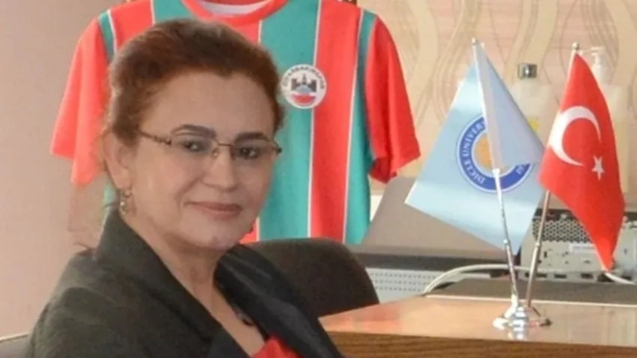 Suriye’den ateşlenen mermi Mardin'de profesörü vurdu