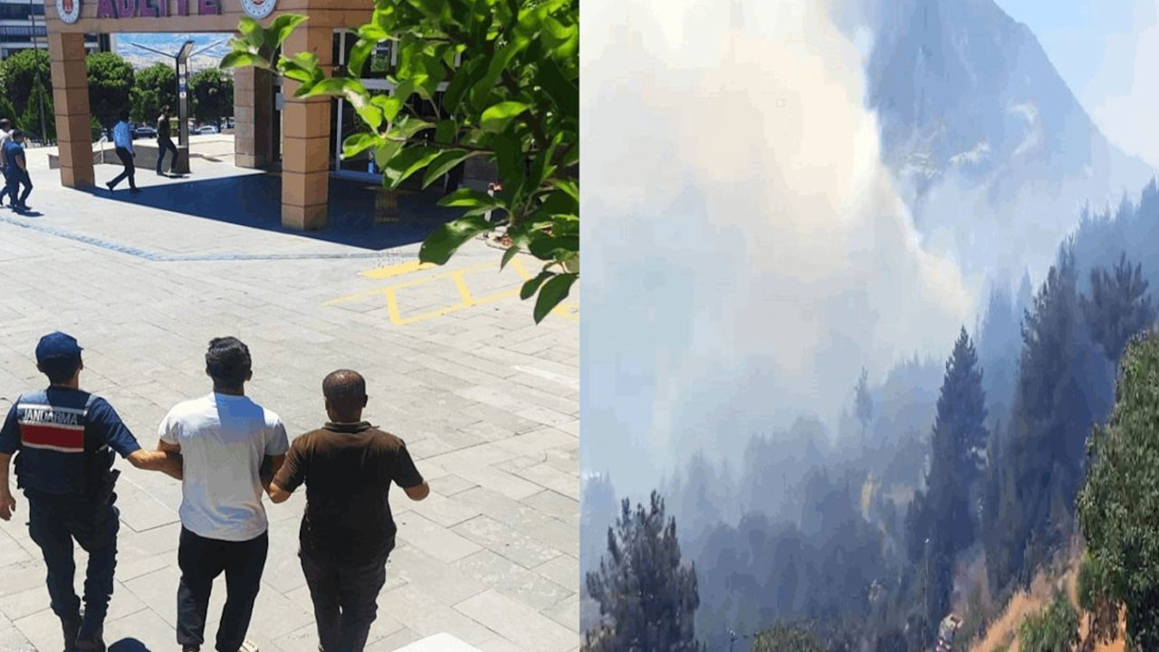 Şakalaşırken ormanı yaktı: 5 yıl 6 ay hapis cezası aldı