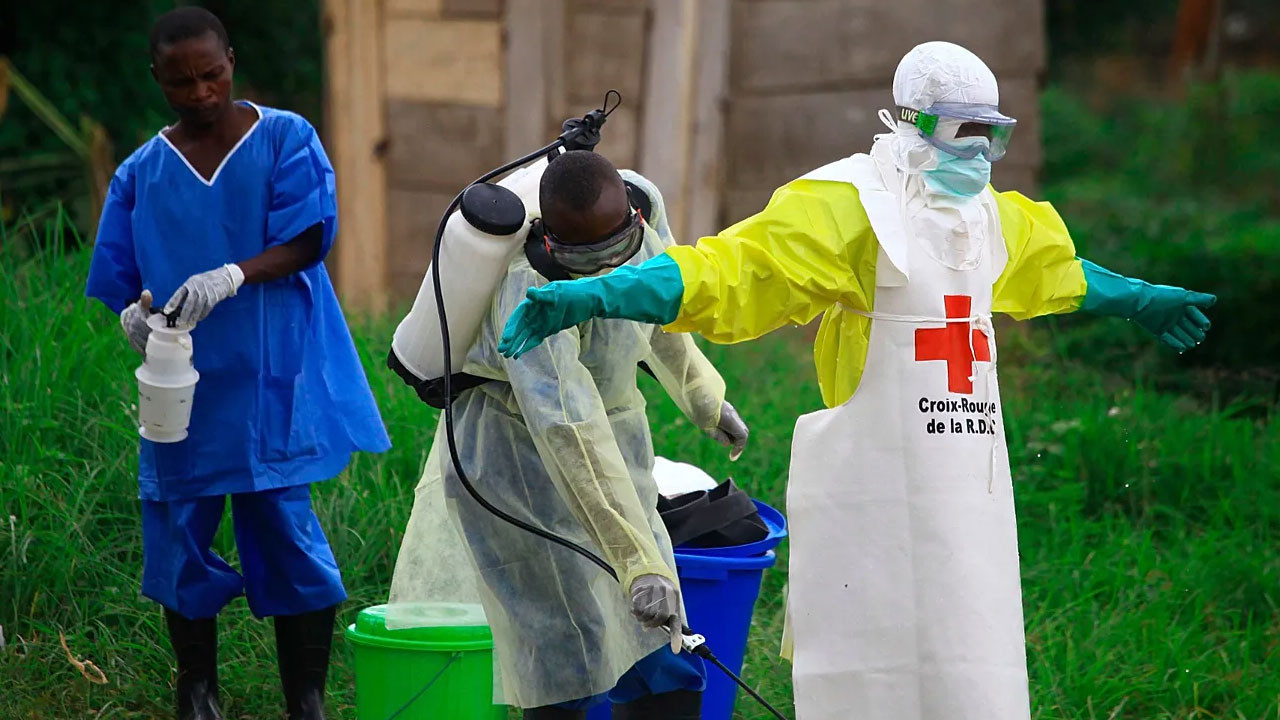 DSÖ: Ebola salgını uluslararası acil durumdur