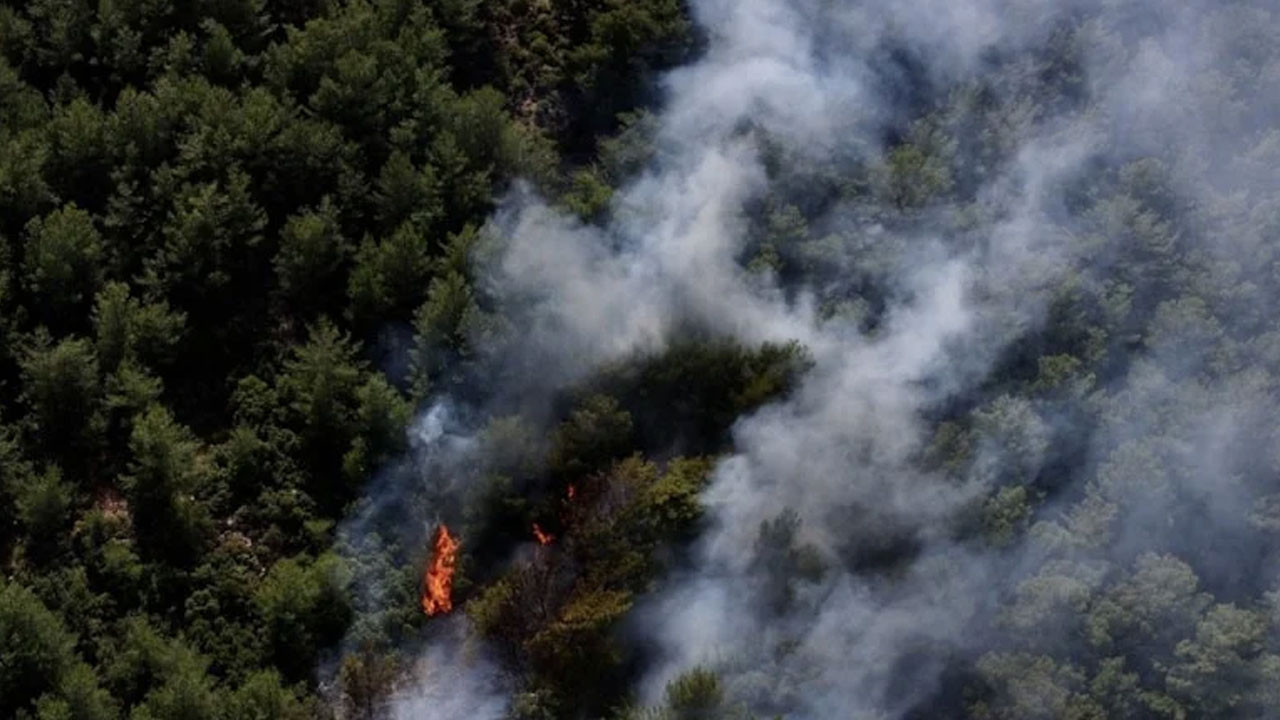 Muğla'nın Fethiye ilçesinde orman yangını