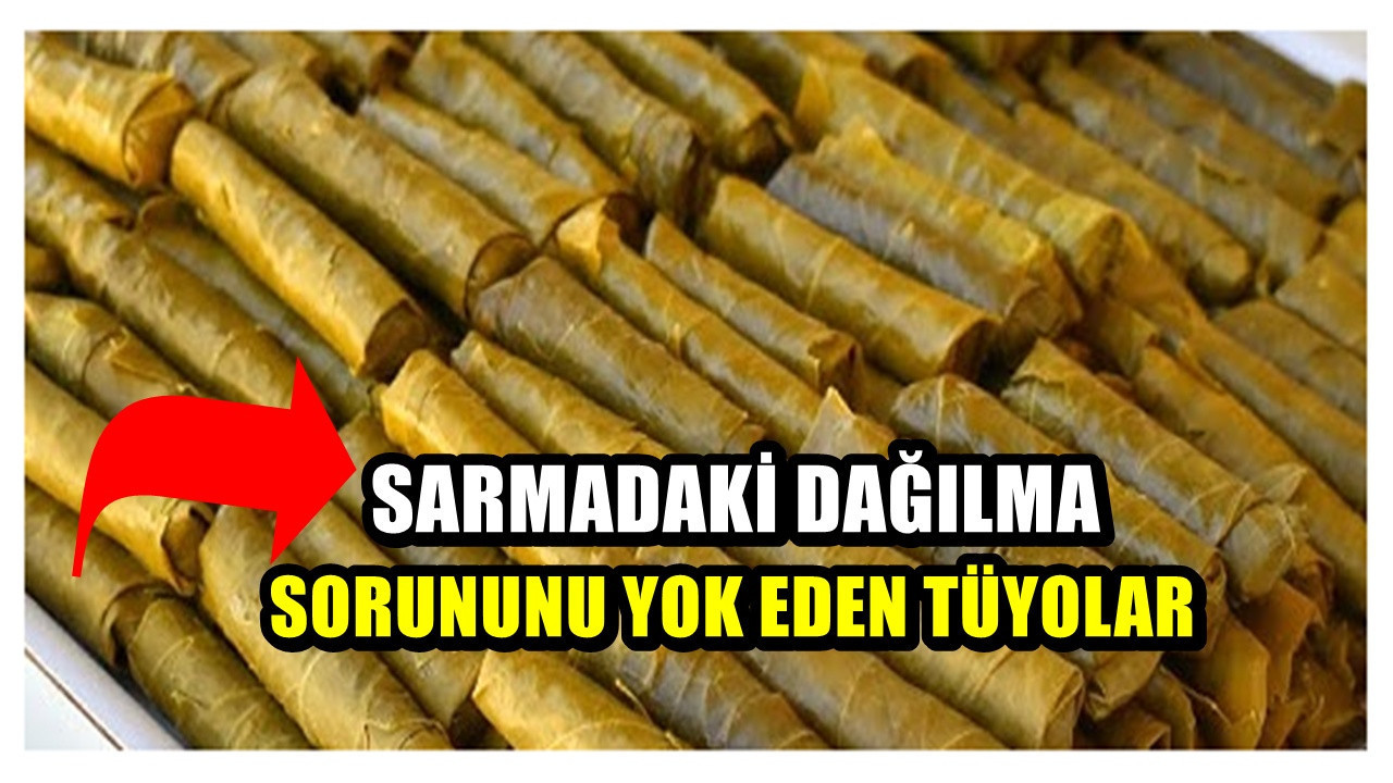 Sırrı İzmirli ustalar biliyor! Dağılmayan yaprak sarma pişirmenin yolu