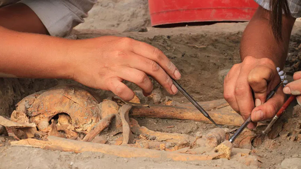 400 yıllık “vampir” mezarının sırrı çözülüyor! Boğazında orak, ayağında kilit