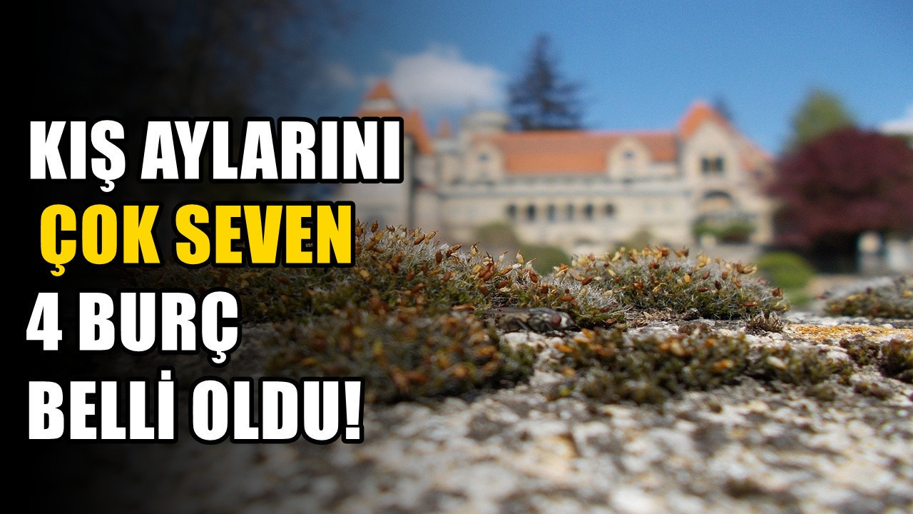 Onlar yaz insanı değil: Kış aylarını çok seven 4 burç