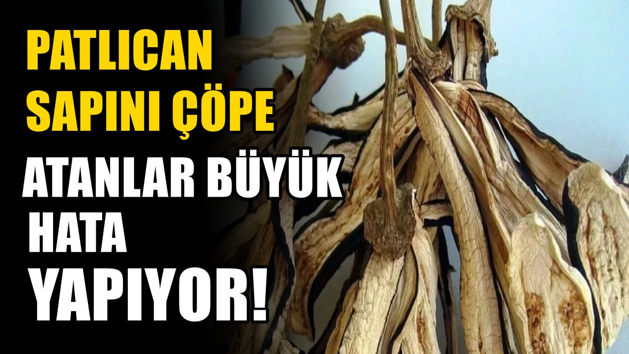 Patlıcan sapının basur üzerindeki etkisi. Meğer çöpe atılmamalıymış
