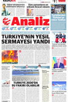 Analiz