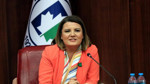Fatma Kaplan Hürriyet dahil 20 kişi tutuklandı