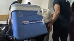 Kahramanmaraş'ta hayatını kaybeden gencin organları 3 hastaya umut oldu