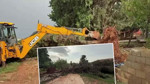 Akdeniz'de Şiddetli Yağmur: Hatay ve Mersin'de Su Taşkınları ve Ağaç Devrilmeleri