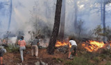 3 ilde yangın felaketi: 50 bini aşkın kişi tahliye edildi