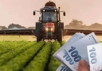 Çiftçilere Müjde! Temmuz Ayı Destek Ödemeleri ve Tohum Desteği Başvuruları!