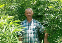 3 ayda 3 metre uzadı: Kayseri'de ekildi, inşaat malzemesinde bile kullanılıyor!