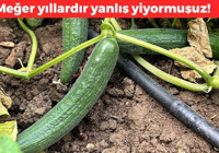 Kahvaltıların demirbaşı meğer böyle tüketilmemeliymiş! Besin değeri sıfırlanıyor, çöpten farkı kalmıyor