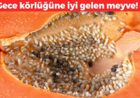Gece körlüğüne iyi geliyor! 1 adet orta boyu damarları besliyor: İltihaplanmaya karşı inanılmaz etki gösteriyor