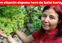Her gün avuç avuç yiyin! Kalbin meyvesi olarak da biliniyor, B6 vitamini, potasyum, bakır, manganez ne ararsan onda! Doğal resveratrol