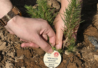 Evlilik Kredisine İstanbul'da Büyük İlgi: 26 Bin Başvurudan 8 Binine Onay!