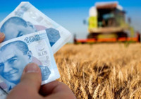 Çiftçiye Müjde! 80 Milyon TL’lik Destek Hesaplara Aktarıldı: Mazot Desteği Ödemeleri Hız Kesmiyor!