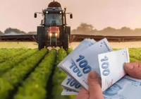 Tarım ve Orman Bakanlığı Duyurdu: Dekar Başına 744 TL Destek Müjdesi!