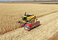 Tarımda Üretici Enflasyonu Ekim Ayında Yüzde 4 Yükselişle Rekor Kırdı!