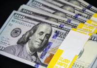 Yerlinin döviz mevduatında artış