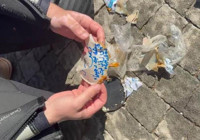 Diyarbakır'da temizlik yaparken buldular! Ekipler inanamadı, yüzlerce kilo çıktı