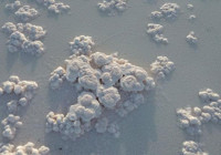 Konya'nın 'Pamukkale'si ziyaretçi akınına uğruyor! Sular çekildi eşsiz görüntüler ortaya çıktı