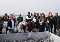 10 ton hamsi bedava dağıtıldı! Uzun kuyruklar oluştu