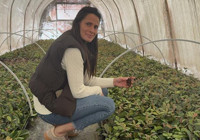 Baba mesleğinin devraldı! 7 kadın çiftçiyle birlikte 30 dekar alanda süs bitkisi ihraç ediyor!